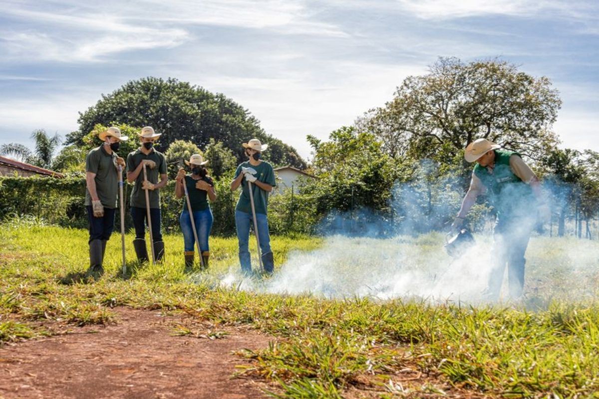 Programa oferece capacitação gratuita para prevenir e combater incêndios no Pantanal