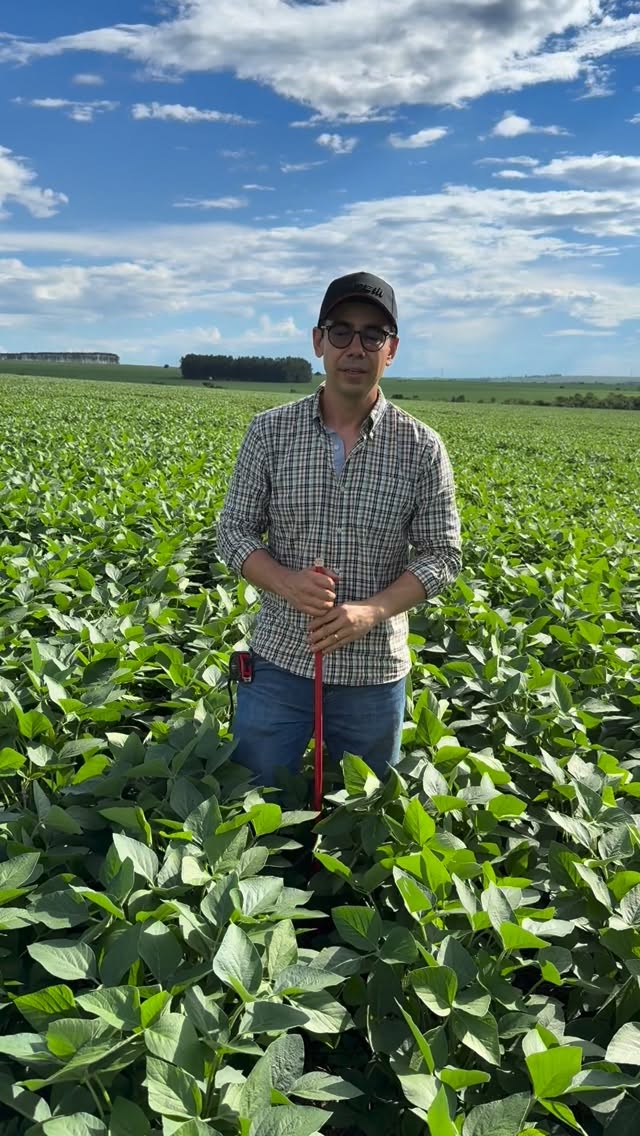  Paulo César S. Matsumoto: Boa cobertura de palhada no solo é conforto para a planta e  segurança para o produtor.