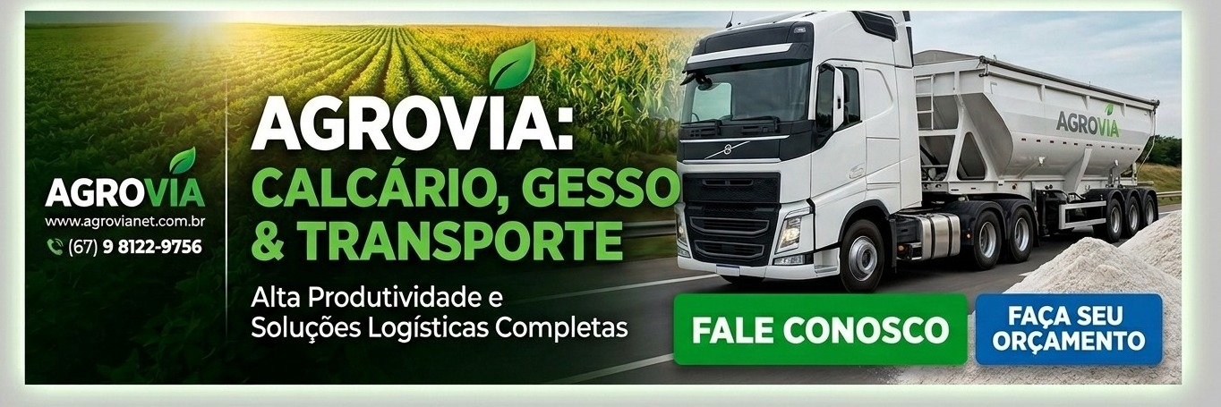 Slide Adicional
