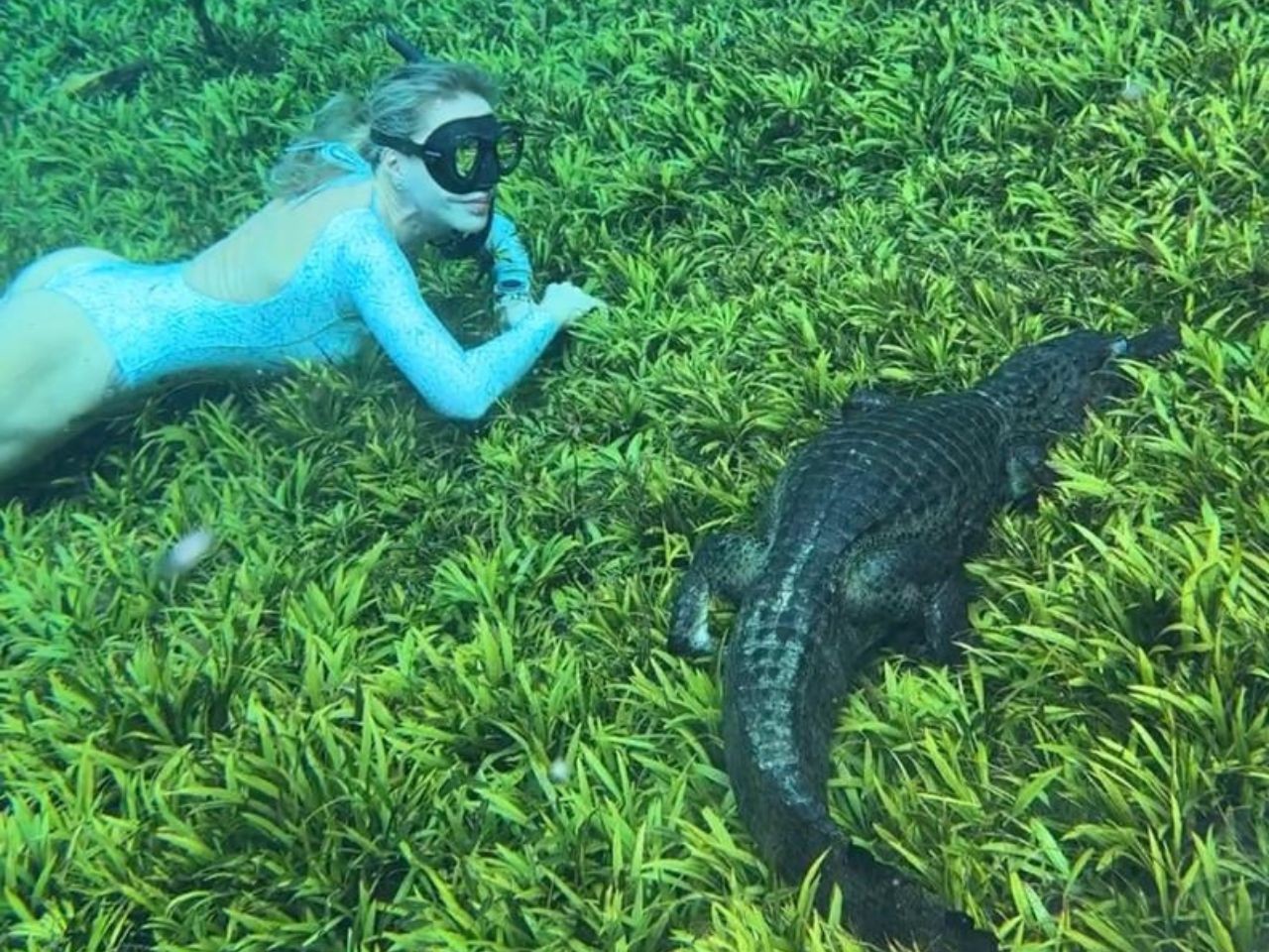 Recordista mundial que desafia os limites da respiração encara jacaré e desbrava profundezas de...