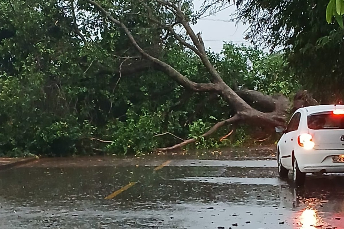 Temporal provoca alagamentos na capital; cidades do interior também foram atingidas