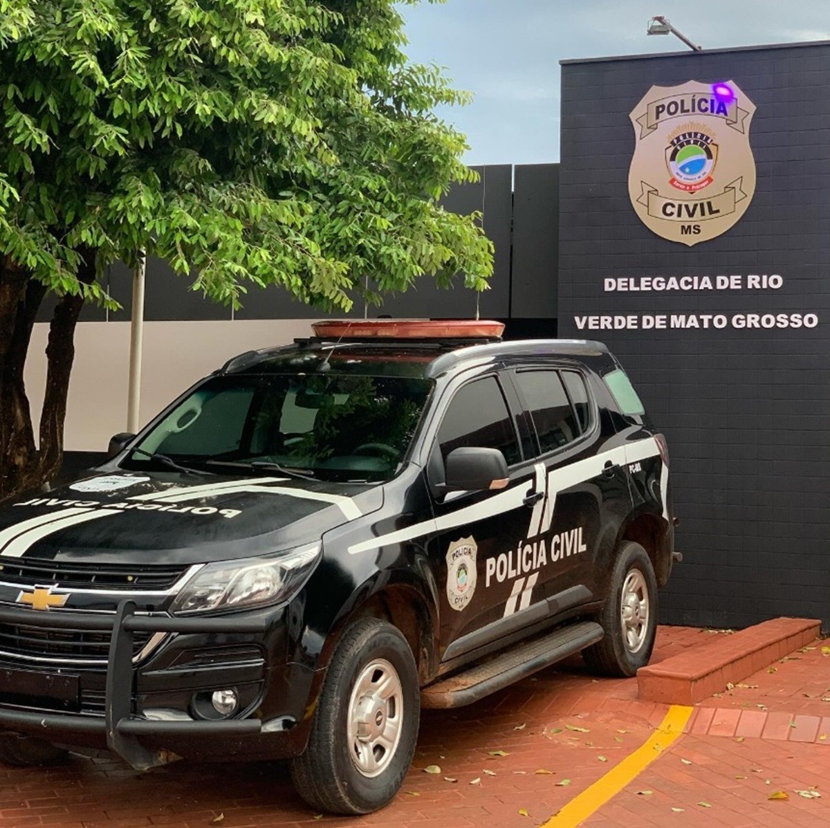 Criança de 4 anos é encontrada com hematomas após denúncia de tortura feita por vizinhos em MS