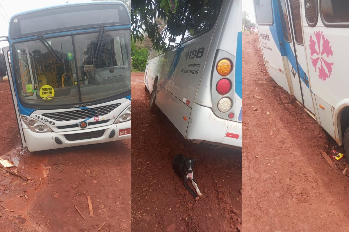 Ônibus com seis passageiros tomba em vala de esgoto em Campo Grande